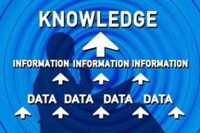 华体会官方网站-海湾者队员心理素质提升计划启动，海湾旅行者的照片